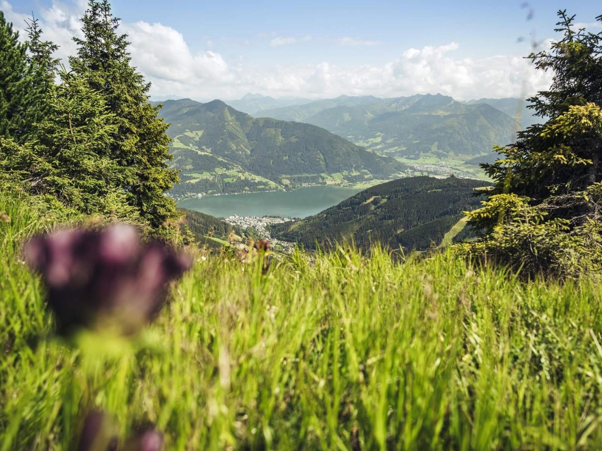 Gaestehaus Bleiweis-Zehentner Zell am See Luaran gambar